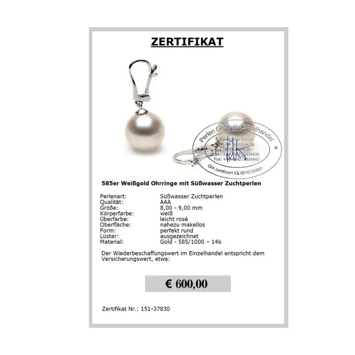 Perlenohrringe Zertifikat
