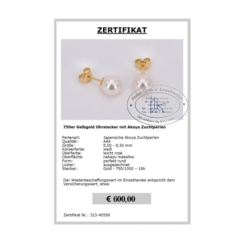Perlen Ohrstecker online - Zertifikat