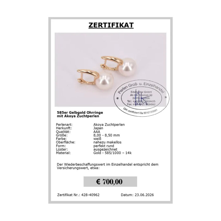 Akoya Perlen Ohrringe Gold Zertifikat