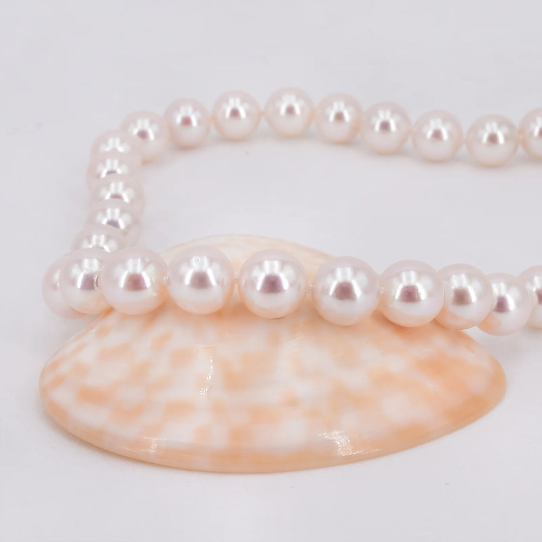 echtes Akoya Perlencollier