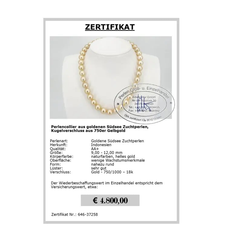 goldene Südseeperlenkette Zertifikat