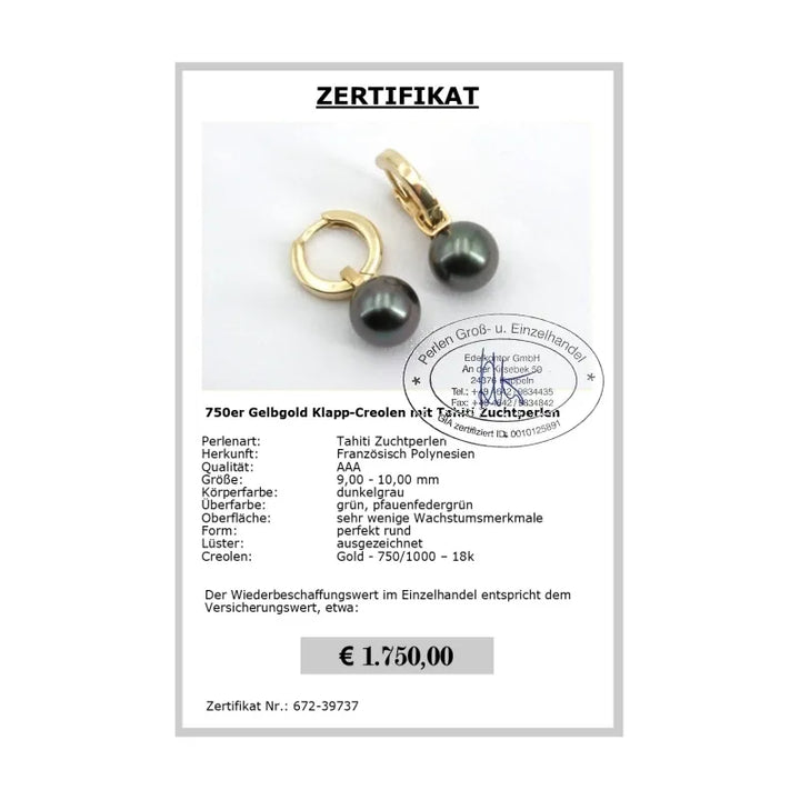 Creolen mit Tahitiperlen Zertifikat
