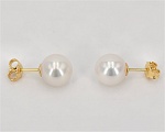 Perlenohrstecker 750er Gelbgold, Perlen 9.0 - 10.0 mm - Edelkontor