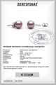 Perlen Ohrstecker lila vom Edelkontor