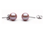 Perlen Ohrstecker<br>Farbe lila<br>8.0 - 9.0 mm
