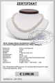 Halskette 40 cm aus weien Akoya Perlen | Rund 7,5 - 8,0 mm AAA | Verschluss 750er Gold