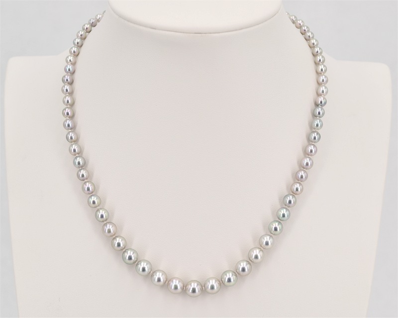 Blaue Akoyaperlen vom Edelkontor