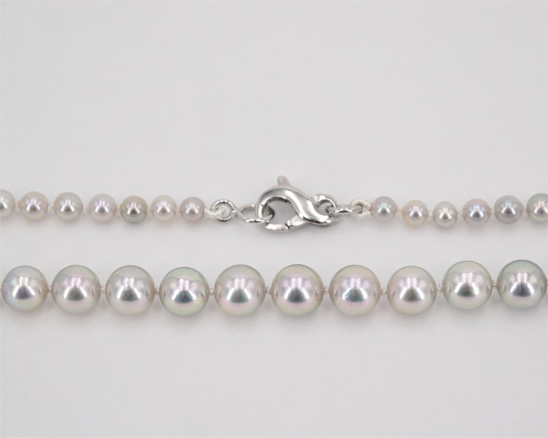 Blaue Akoyaperlen vom Edelkontor