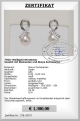 Echte Perlen Ohrringe mit Diamanten 0,10 ct | Perfekt Rund 8,5 - 9,0 mm AAA | Ohrringe Gold 750er