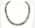 Multicolor Tahitiperlen, Kette AAA Qualität, 9.0 - 10.6 mm