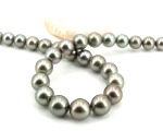 Tahitiperlen Collier in AAA Qualit�t 9.0 - 11.7 mm