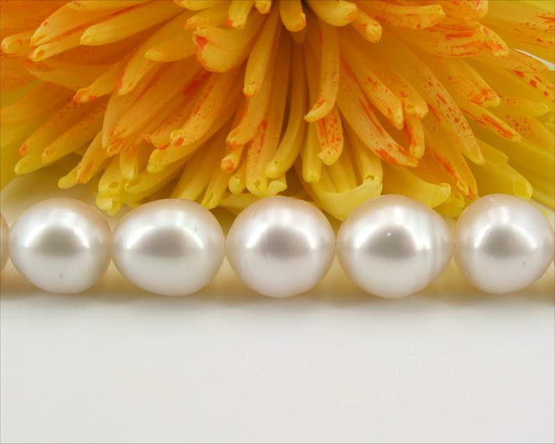 Weiße Perlen Halskette vom Edelkontor