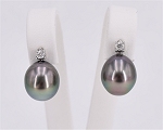 Ohrringe Tahiti oval von Edelkontor