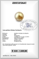 Einzelne Goldene Sdseeperle online kaufen
