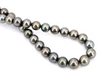 Tahitiperlen Halskette, AAA Qualit�t 10.0 - 10.9 mm