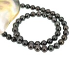 Tahitiperlen Perlenkette Anthrazit 8.0 - 9.0 mm, AAA Qualit�t