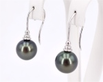 Gr�ne Tahitiperlen Ohrringe 9.0 - 10.0 mm - Edelkontor