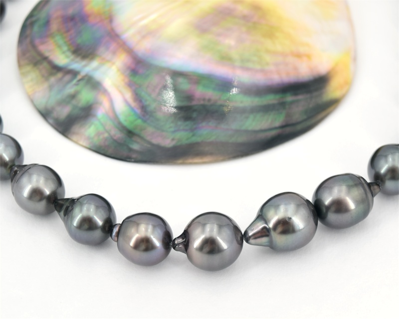 Tahiti Perlen Halskette direkt von der Perlenfarm