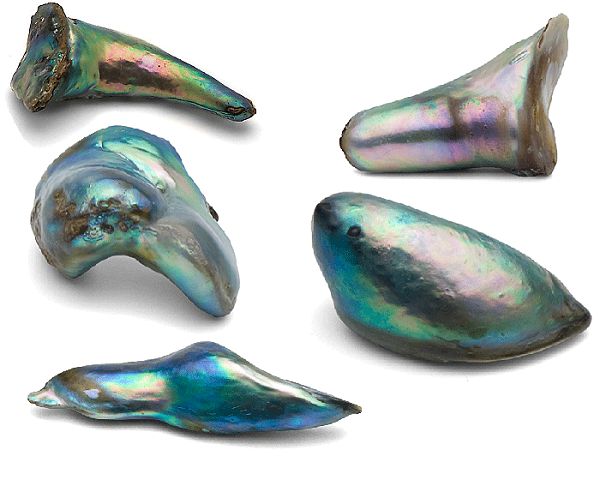 Abalone Perlen
